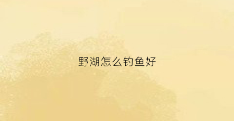 野湖怎么钓鱼好(野湖怎么钓鲤鱼)