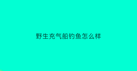 “野生充气船钓鱼怎么样(海钓充气船)