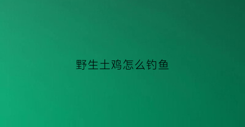 野生土鸡怎么钓鱼(钓野鸡最好的方法视频)