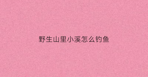 野生山里小溪怎么钓鱼(野生山里小溪怎么钓鱼最好)