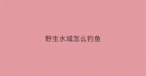 野生水域怎么钓鱼(野生水域用什么饵)