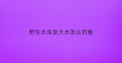 野生水库发大水怎么钓鱼(野生水库钓鱼技巧)