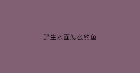 野生水面怎么钓鱼(野生水域怎么钓鲤鱼)