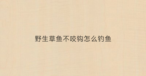 野生草鱼不咬钩怎么钓鱼(草鱼不咬钩怎么办)