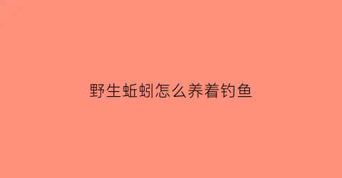 “野生蚯蚓怎么养着钓鱼(野生蚯蚓驯化养殖方法)