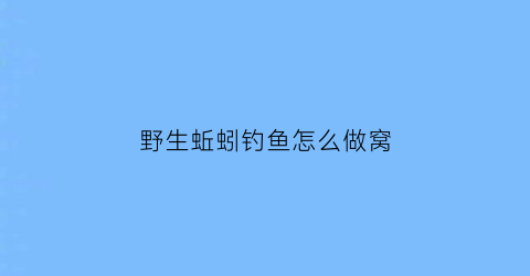 野生蚯蚓钓鱼怎么做窝