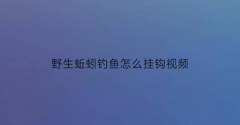 野生蚯蚓钓鱼怎么挂钩视频