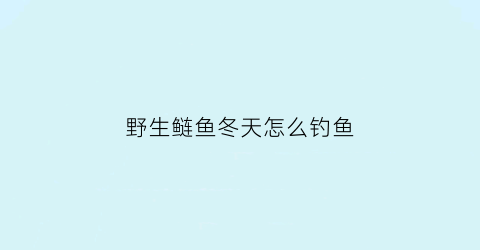 “野生鲢鱼冬天怎么钓鱼(野生鲢鱼喜欢藏在什么地方)