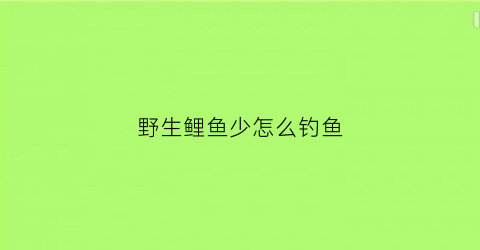 野生鲤鱼少怎么钓鱼(垂钓野生鲤鱼)