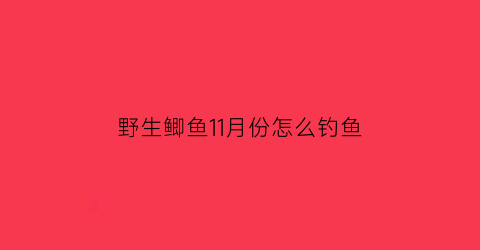 “野生鲫鱼11月份怎么钓鱼(十一月份鲫鱼好钓吗)