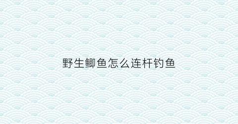 野生鲫鱼怎么连杆钓鱼(野生鲫鱼怎么连杆钓鱼的)