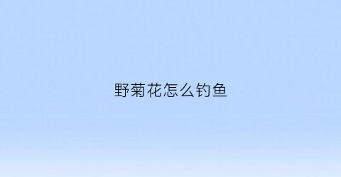 野菊花怎么钓鱼(野菊花怎么钓鱼效果好)