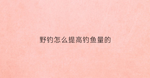 野钓怎么提高钓鱼量的(怎样提高野钓技术)
