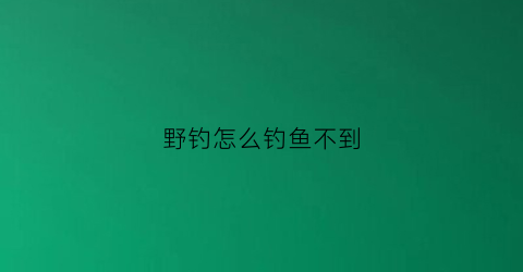 “野钓怎么钓鱼不到(野钓怎么钓鱼不到鲫鱼)