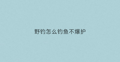 野钓怎么钓鱼不爆护(钓鱼如何不爆竿)