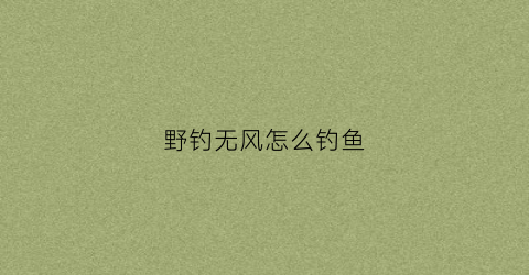 野钓无风怎么钓鱼