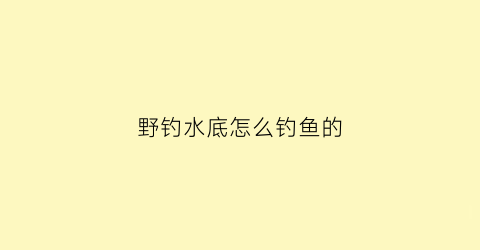 “野钓水底怎么钓鱼的(野钓水底怎么钓鱼的视频教程)