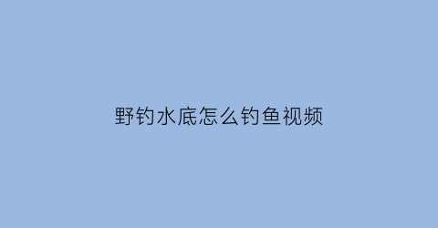 “野钓水底怎么钓鱼视频(钓鱼时钓在水底应该怎么的)