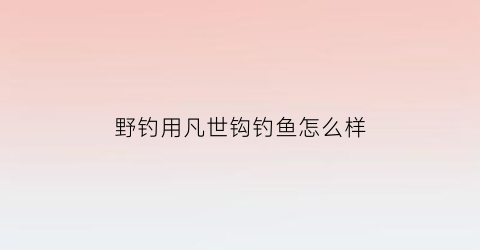 野钓用凡世钩钓鱼怎么样