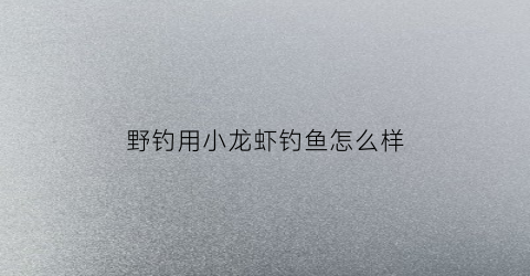 野钓用小龙虾钓鱼怎么样(钓小龙虾可以用什么钓)