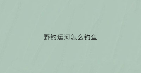 野钓运河怎么钓鱼(野钓运河怎么钓鱼视频)