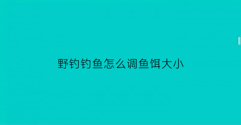 野钓钓鱼怎么调鱼饵大小