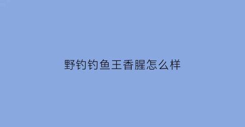 “野钓钓鱼王香腥怎么样(钓鱼王香腥搭配)