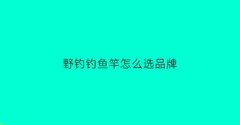 野钓钓鱼竿怎么选品牌(野钓鱼竿哪种好)