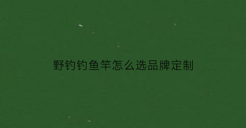 野钓钓鱼竿怎么选品牌定制