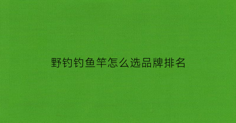 野钓钓鱼竿怎么选品牌排名(野钓哪种鱼竿质量好)