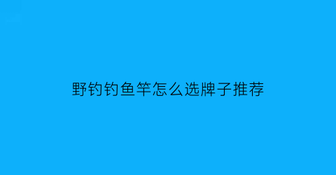 野钓钓鱼竿怎么选牌子推荐