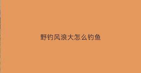 “野钓风浪大怎么钓鱼(野钓风浪大怎么钓鱼好)