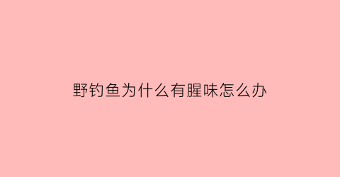 “野钓鱼为什么有腥味怎么办(野钓腥味用什么饵料)