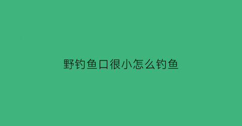 野钓鱼口很小怎么钓鱼(钓鱼口特别轻怎么办)