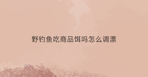野钓鱼吃商品饵吗怎么调漂(野钓鱼食)