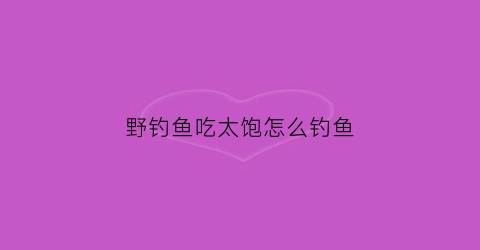 野钓鱼吃太饱怎么钓鱼(钓鱼吃饭怎么解决)
