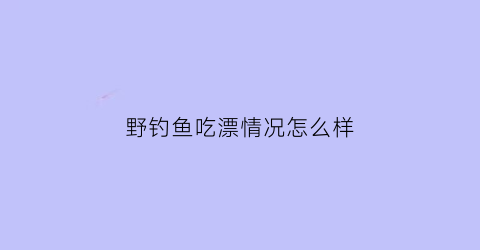 野钓鱼吃漂情况怎么样