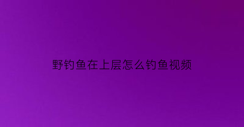 野钓鱼在上层怎么钓鱼视频