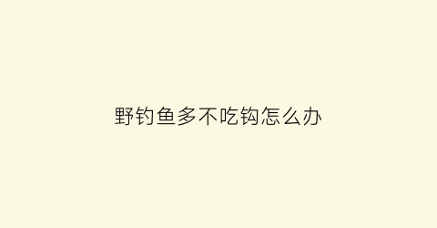 野钓鱼多不吃钩怎么办(野钓鱼很多就是不吃钩)