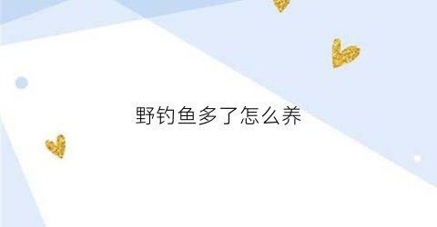 野钓鱼多了怎么养(野钓小鱼太多怎么钓大鱼)