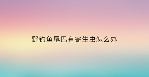 野钓鱼尾巴有寄生虫怎么办(鱼尾上有寄生虫用什么药)