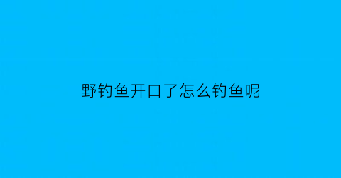 野钓鱼开口了怎么钓鱼呢(钓鱼鱼开口跟什么有关)