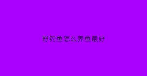 野钓鱼怎么养鱼最好