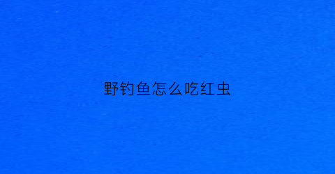 野钓鱼怎么吃红虫(红虫钓鱼到底能不能吃)