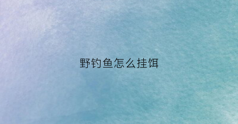 野钓鱼怎么挂饵(钓饵怎么挂钩)