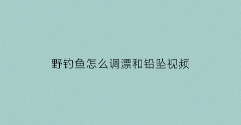 “野钓鱼怎么调漂和铅坠视频(野钓调漂方法视频教程)