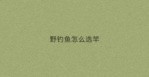 野钓鱼怎么选竿