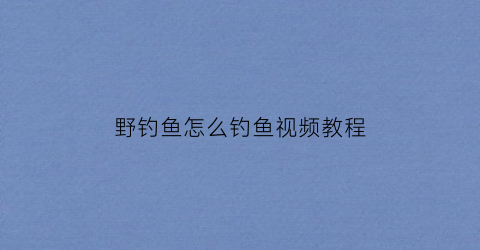 野钓鱼怎么钓鱼视频教程(野钓钓鱼技巧大全)