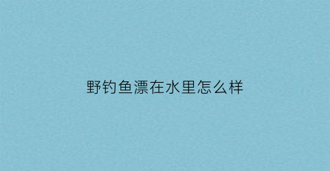 野钓鱼漂在水里怎么样(用漂钓鱼水下鱼钩是什么状态)