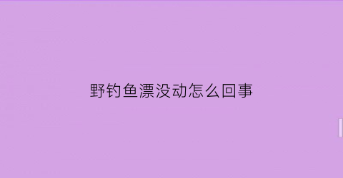 “野钓鱼漂没动怎么回事(钓鱼漂不动)